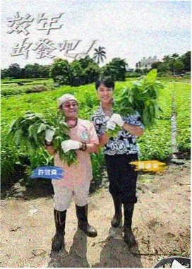 双面证词 韩国悬疑推理剧